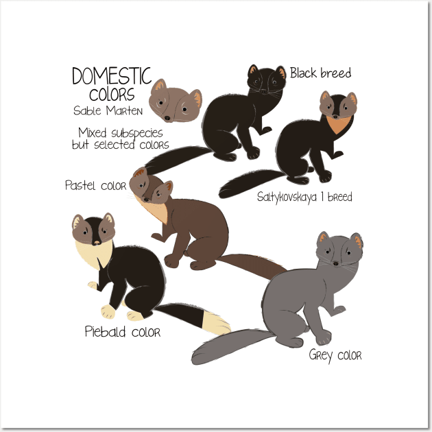 Meet the sable marten #1 Wall Art by belettelepink